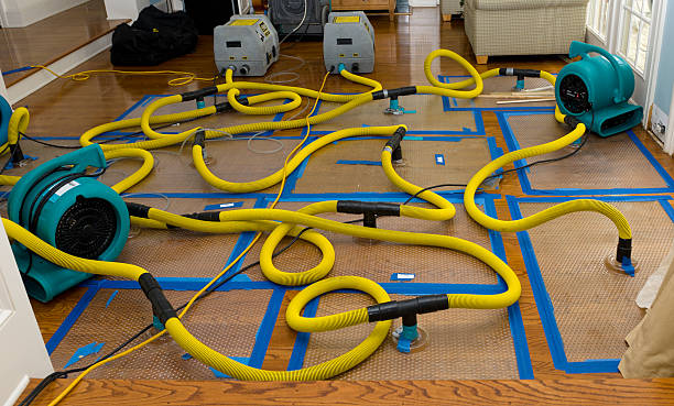 Professional Crawl Space Water Removal technician working in Lake Villa, IL